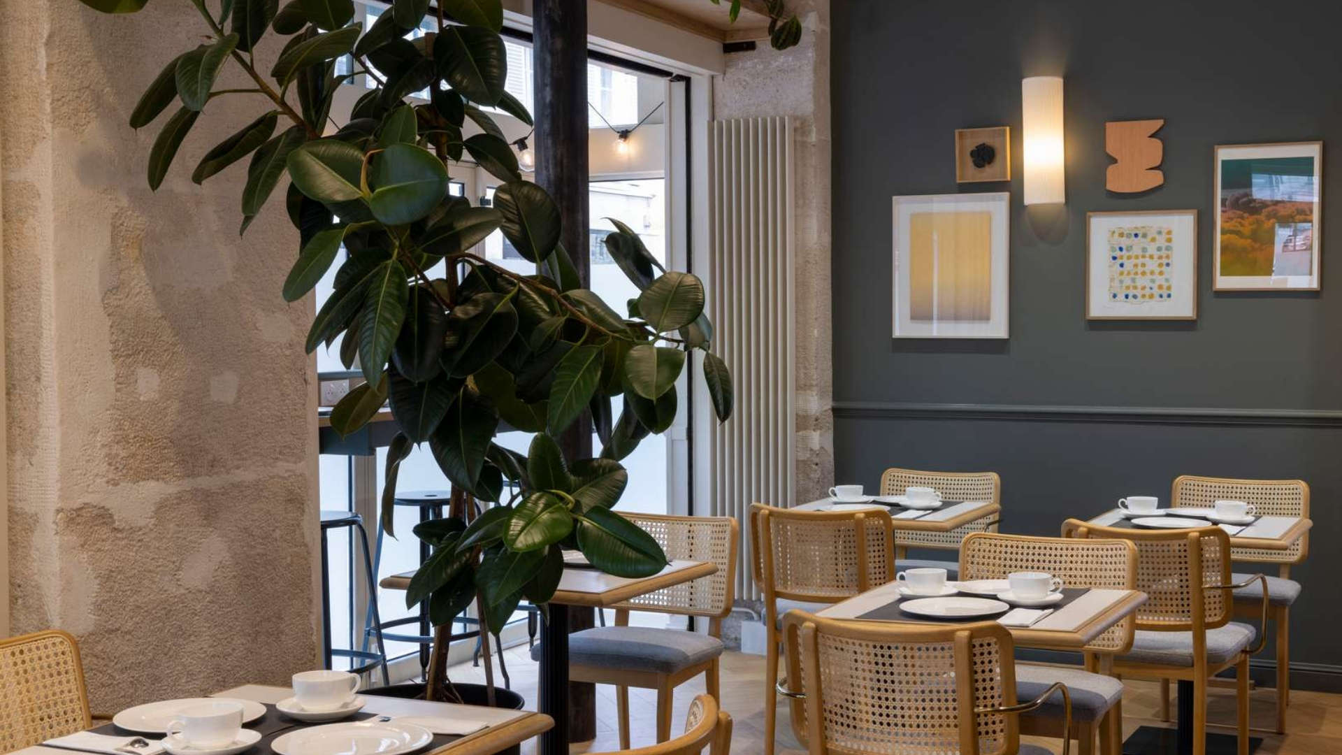 salle à manger avec de grandes plantes en pot et des chaises en osier – hotel boulevard Saint Germain – Hôtel Abbatial